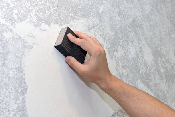 Best Mold Damage Restoration  in Walton, KY