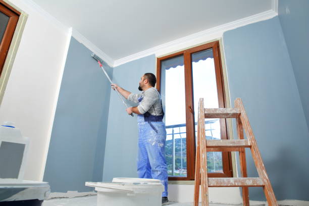 Best Black Mold Removal  in Walton, KY