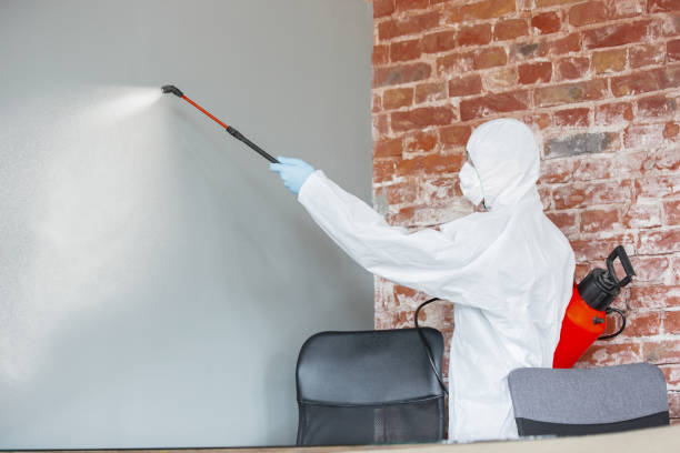 Best Mold Prevention Services  in Walton, KY