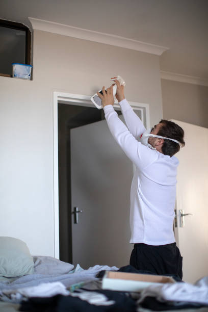 Best Commercial Mold Inspection  in Walton, KY