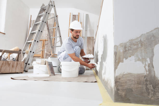 Best Residential Mold Inspection & Testing  in Walton, KY