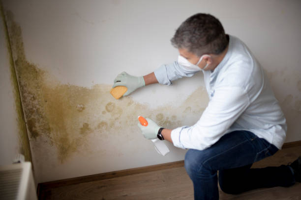 Mold Remediation for Rental Properties in Walton, KY