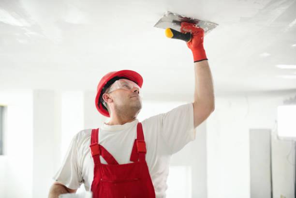 Walton, KY Mold Removal Company
