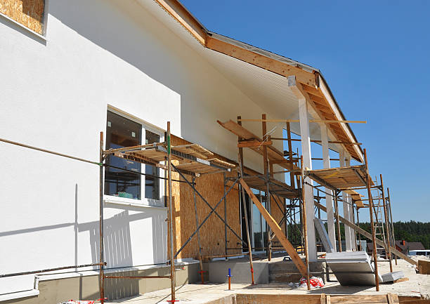 Best Mold Documentation for Insurance Claims  in Walton, KY