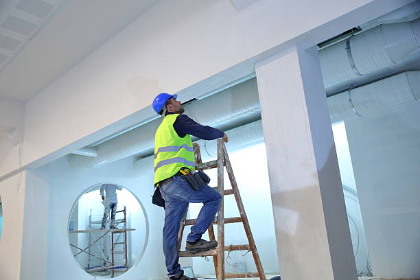 Best Crawl Space Mold Remediation  in Walton, KY